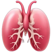 ORGANS sticker