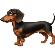 Dachshund  sticker