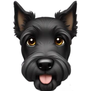 Black eyes Puppy Scottish terrier black eyes black sticker