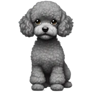 gray toy poodle sticker