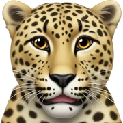 Leopard￼ heart  sticker