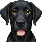 black lab black sticker