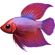Betta fish sticker