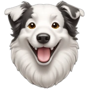 border collie smile sticker