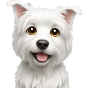 Birthday white small dog sticker