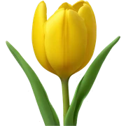 yello tulip sticker
