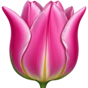 Pink tulip
 sticker