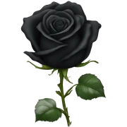 black rose sticker