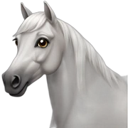Arabian horse sticker