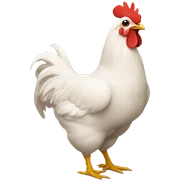 chicken sticker