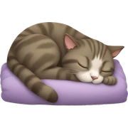 Cat sleeping  sticker
