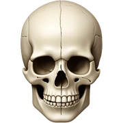 Skull sticker
