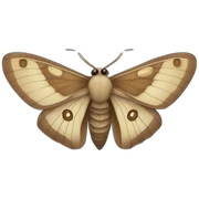 Moth sticker