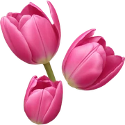 Pink tulips sticker