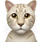 Кот в сковородке sticker