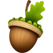 natural acorn sticker