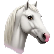 white horse with pink nose sticker