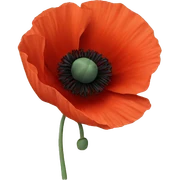 Poppy sticker