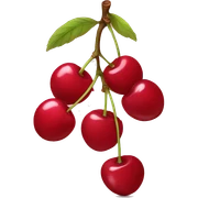Cherry  sticker