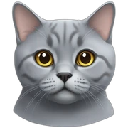 britishshorthair sticker