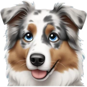 Australian shepherd with blue eyes sticker