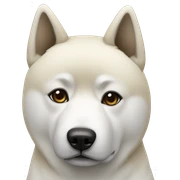 akita blanco sticker