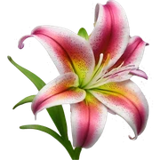 rainbow stargazer lily sticker