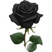 Black rose sticker