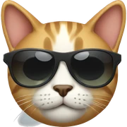 Cat with sunglasses sticker