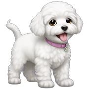 bichon puppy sticker