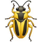 yellow bug sticker