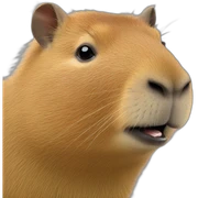 capybara capybara capybara sticker