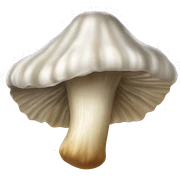 oyster mushroom sticker