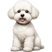 Bichon frise in brown  sticker