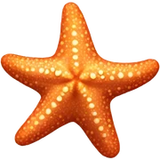starfish  sticker