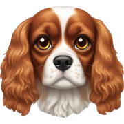 Cavalier King Charles Spaniel sticker