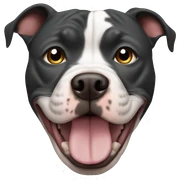 Pitbull sticker