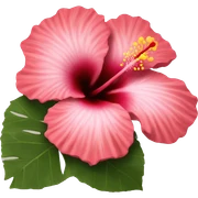 hibiscus sticker