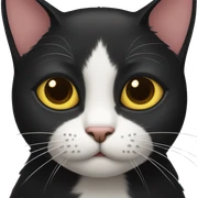 Black cat  sticker