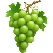 Green grapes  sticker