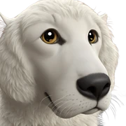 realistic close-up of cat sticker