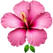 🌺 pink hibiscus  sticker