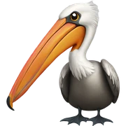 Hot pelican sticker