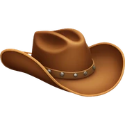brown cowboy hat  sticker