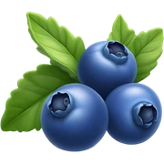 Blueberries  sticker