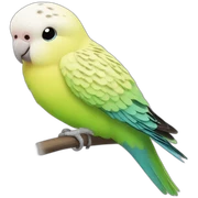 Budgerigar sticker