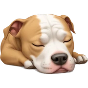 Pitbull sleeping sticker