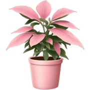Pink plant in pale pink pot sticker