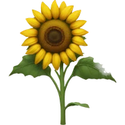 Sunflower  sticker