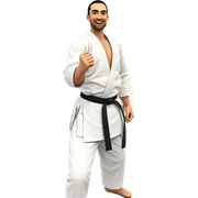 boys practicing martial arts indoors sticker